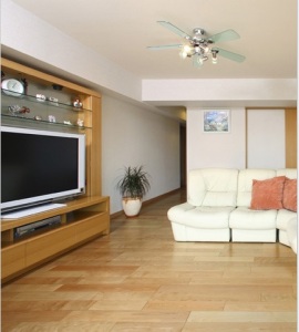 ライブナチュラル　③